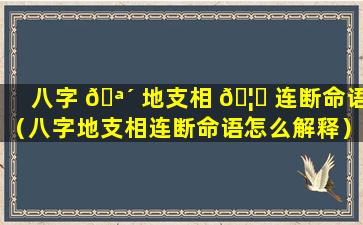 八字 🪴 地支相 🦅 连断命语（八字地支相连断命语怎么解释）